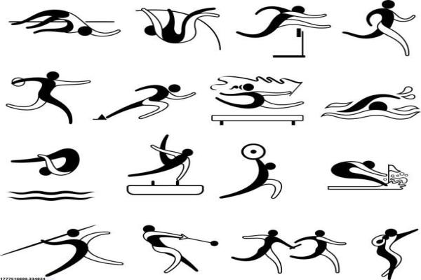 体育教练证书查询及办理流程(图1)